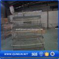 96 Birds Kenya Layer Farm Hot Sale Chicken Cage